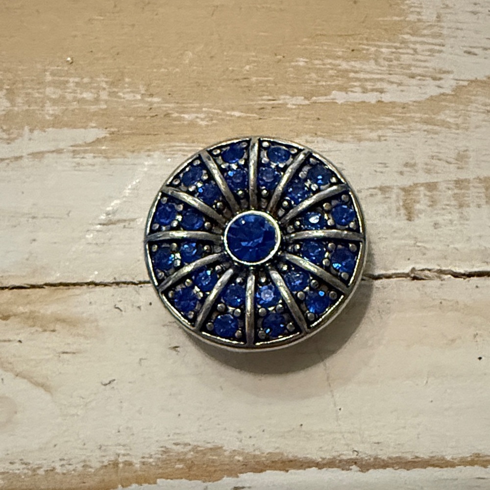 Elegant Blue and Silver Ginger Snaps - Picture 2 of 5